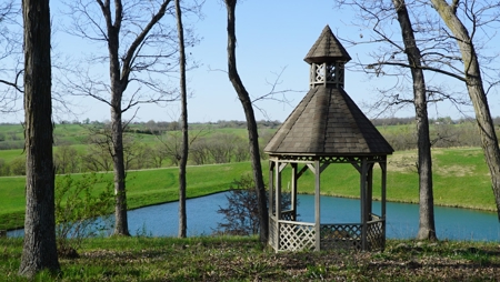 Home and Acreage For Sale - image 45
