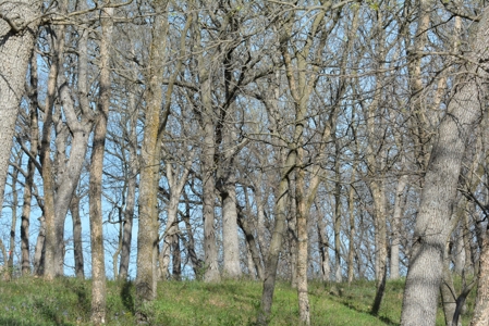 Home and Acreage For Sale - image 40