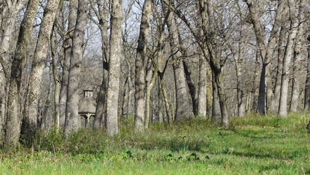 Home and Acreage For Sale - image 35