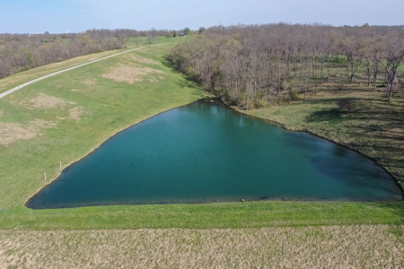 Home and Acreage For Sale - image 26