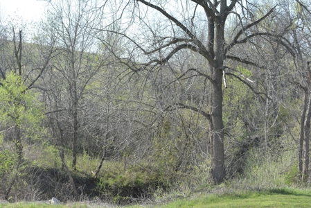 Home and Acreage For Sale - image 12
