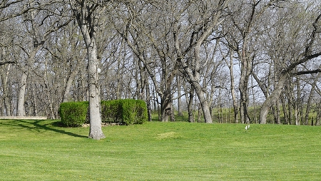 Home and Acreage For Sale - image 39