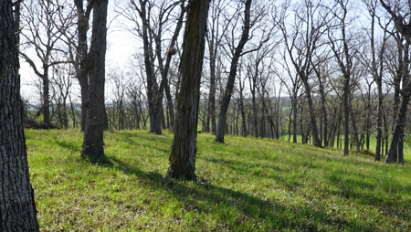Home and Acreage For Sale - image 22