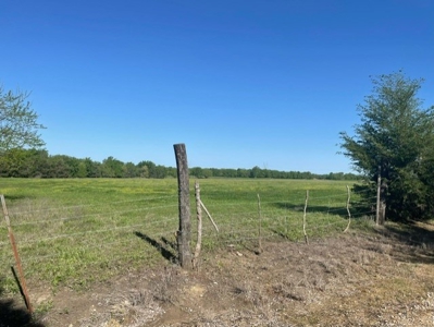 Land With Fishing Ponds For Sale In Honey Grove, Texas - image 5