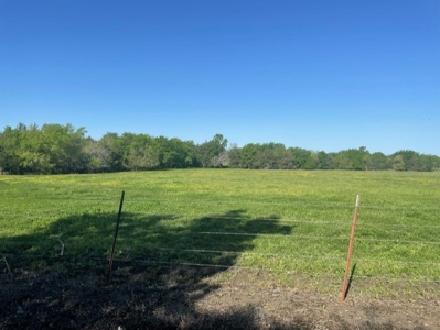 Land With Fishing Ponds For Sale In Honey Grove, Texas - image 4