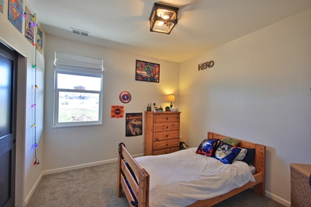 Country Home on Acreage in Fruita Colorado - image 21