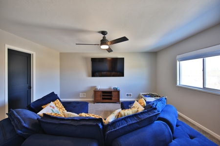 Country Home on Acreage in Fruita Colorado - image 24