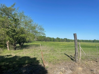 Land With 3 Ponds For Sale In Honey Grove Texas - image 1