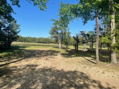 Land With 3 Ponds For Sale In Honey Grove Texas - image 2