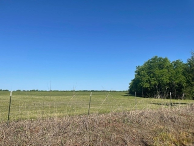 Land With 3 Ponds For Sale In Honey Grove Texas - image 3