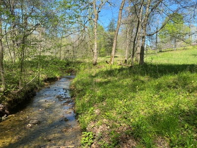 Country Home For Sale In Tn, 4.5Ac Creek, Basement & Shop - image 39