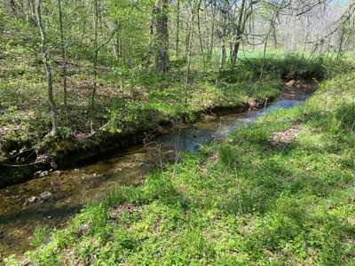Country Home For Sale In Tn, 4.5Ac Creek, Basement & Shop - image 41