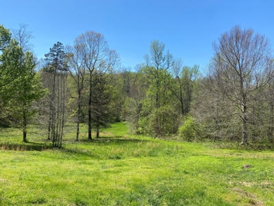 Country Home For Sale In Tn, 4.5Ac Creek, Basement & Shop - image 46