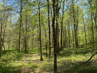 Country Home For Sale In Tn, 4.5Ac Creek, Basement & Shop - image 44