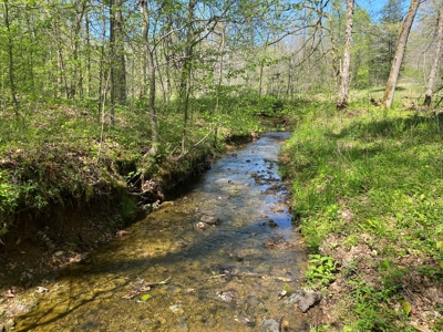 Country Home For Sale In Tn, 4.5Ac Creek, Basement & Shop - image 4
