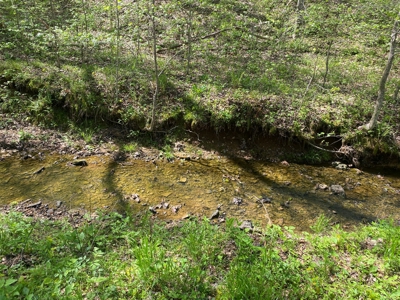Country Home For Sale In Tn, 4.5Ac Creek, Basement & Shop - image 40