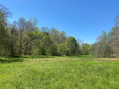 Country Home For Sale In Tn, 4.5Ac Creek, Basement & Shop - image 5