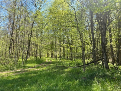 Country Home For Sale In Tn, 4.5Ac Creek, Basement & Shop - image 49