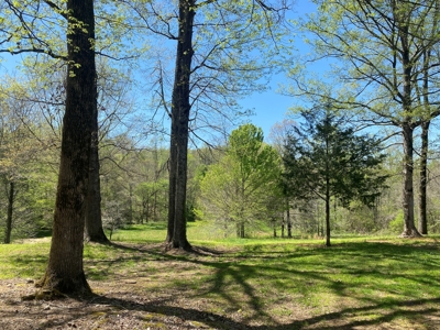 Country Home For Sale In Tn, 4.5Ac Creek, Basement & Shop - image 47