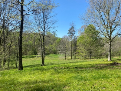 Country Home For Sale In Tn, 4.5Ac Creek, Basement & Shop - image 48