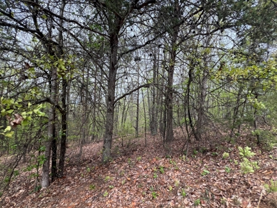 Auction! 3 Lots in Burke County Near Hickory NC - image 6