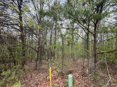 Auction! 3 Lots in Burke County Near Hickory NC - image 5