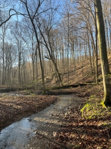 Timberland & Recreational Retreat in Bloomington, Indiana - image 1
