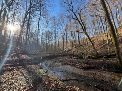 Timberland & Recreational Retreat in Bloomington, Indiana - image 18