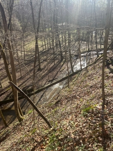 Timberland & Recreational Retreat in Bloomington, Indiana - image 8