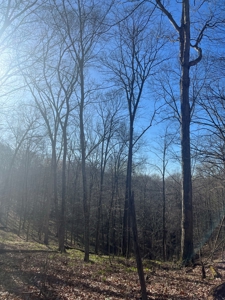 Timberland & Recreational Retreat in Bloomington, Indiana - image 19