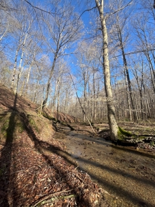 Timberland & Recreational Retreat in Bloomington, Indiana - image 10