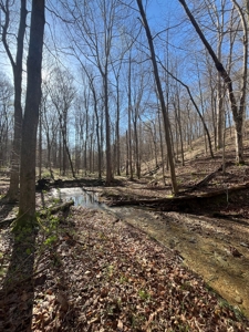 Timberland & Recreational Retreat in Bloomington, Indiana - image 15