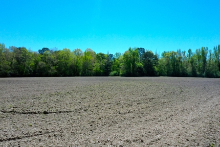 Merrill Mill 340 - image 4