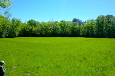 Merrill Mill 340 - image 2
