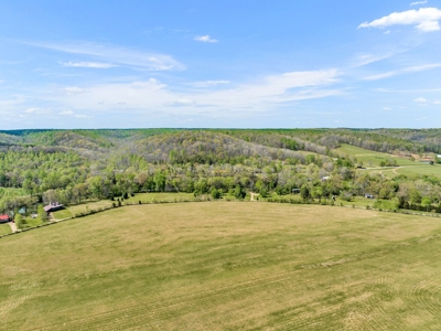 Land for Sale in Lewis County, Tennessee - image 16