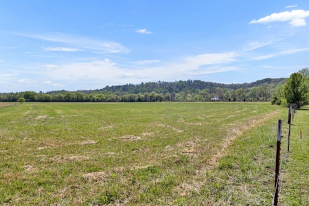 Land for Sale in Lewis County, Tennessee - image 22