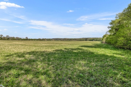 Land for Sale in Lewis County, Tennessee - image 11