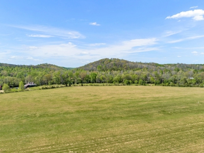 Land for Sale in Lewis County, Tennessee - image 17