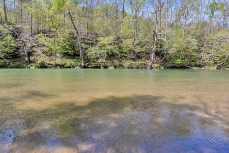 Land for Sale in Lewis County, Tennessee - image 20