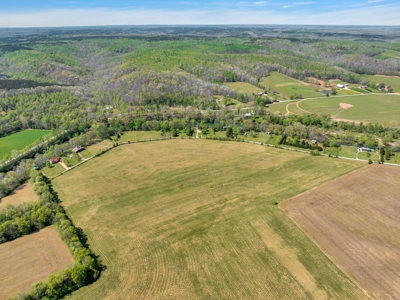Land for Sale in Lewis County, Tennessee - image 15