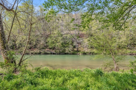 Land for Sale in Lewis County, Tennessee - image 18