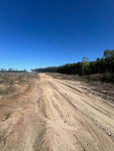 Jackson Parish Timber Tract 4 For Sale - image 2