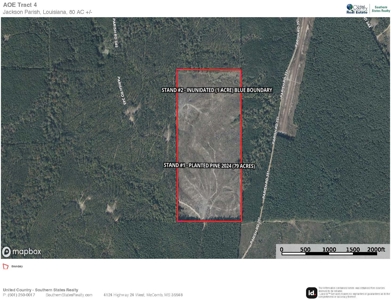 Jackson Parish Timber Tract 4 For Sale - image 8