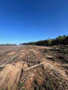 Jackson Parish Timber Tract 4 For Sale - image 1