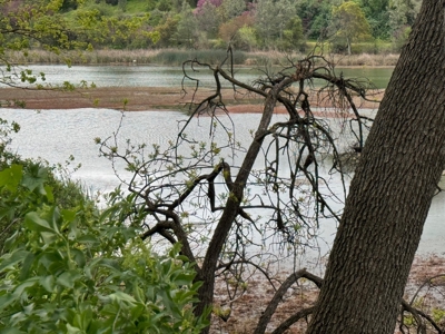 Winters, California Waterfront & Orchard For Sale - image 37
