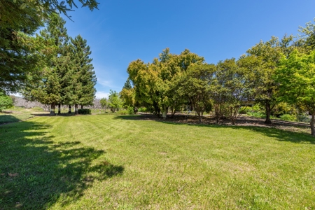 Winters, California Waterfront & Orchard For Sale - image 33