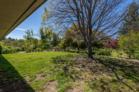 Winters, California Waterfront & Orchard For Sale - image 26