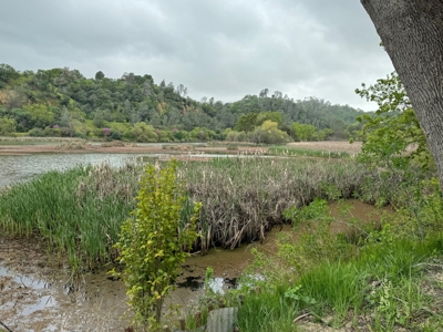 Winters, California Waterfront & Orchard For Sale - image 50