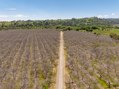 Winters, California Waterfront & Orchard For Sale - image 43