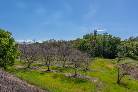 Winters, California Waterfront & Orchard For Sale - image 35